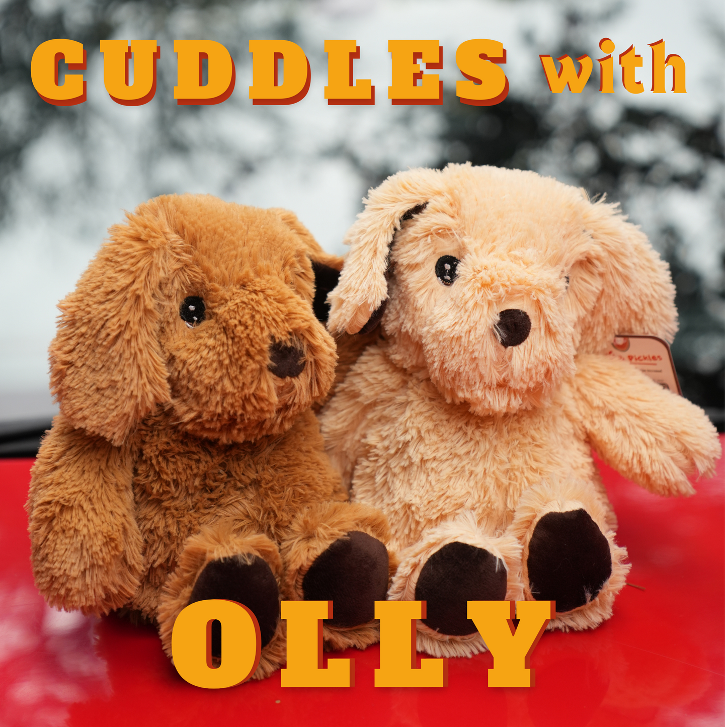 Olly in brown and beige sitting side by side